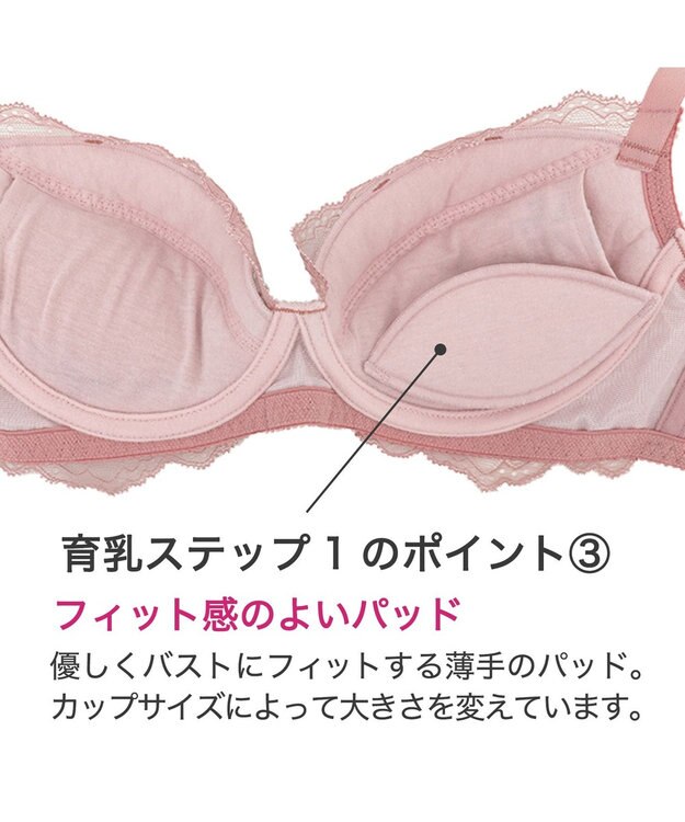 BRADELIS New York 【BRADELIS New York】ジャスミンステップ１ブラ23S1 しっかりバストを集めてナチュラルなシルエットを作る補整ブラ ブルー