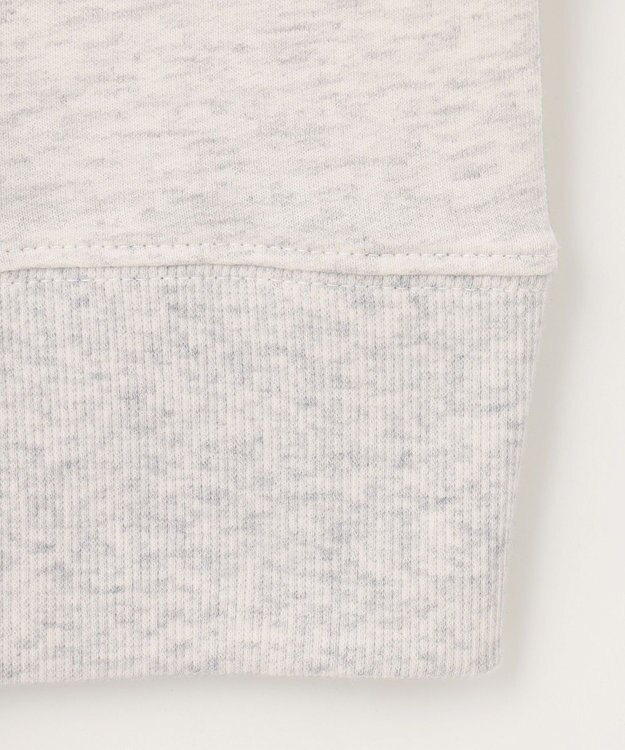 ANY L 【UVケア/洗濯機可】ロゴスウェットプルオーバー グレー