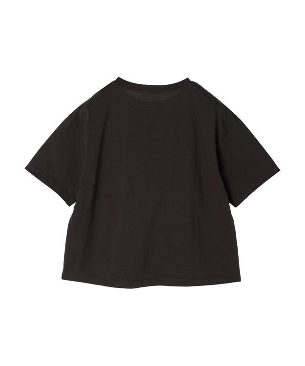 Green Parks フォトボックスＴシャツ Gray