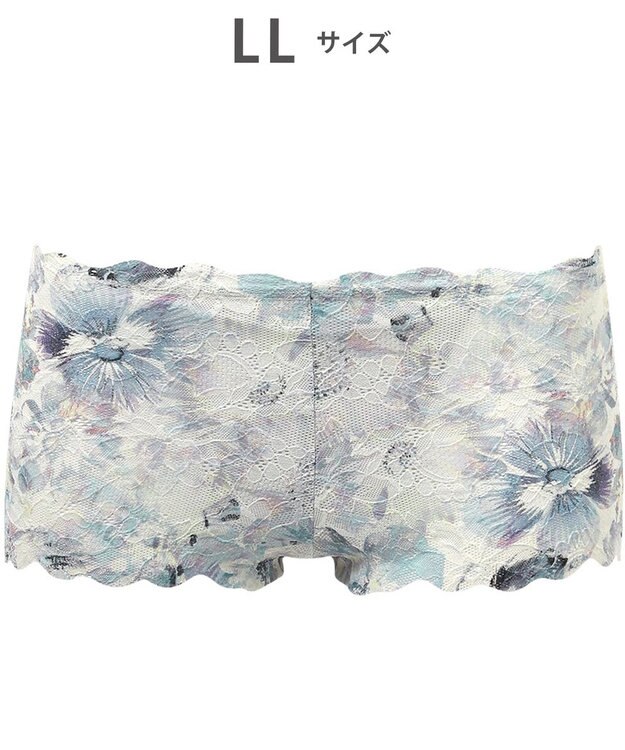 WACOAL ショーツ 【GOCOCi ゴコチ】 CGG297とペア 肌あたりのやさしいレース アウターにひびきにくい はきこみ丈あさめ レディース PGG197 /ワコール サックス