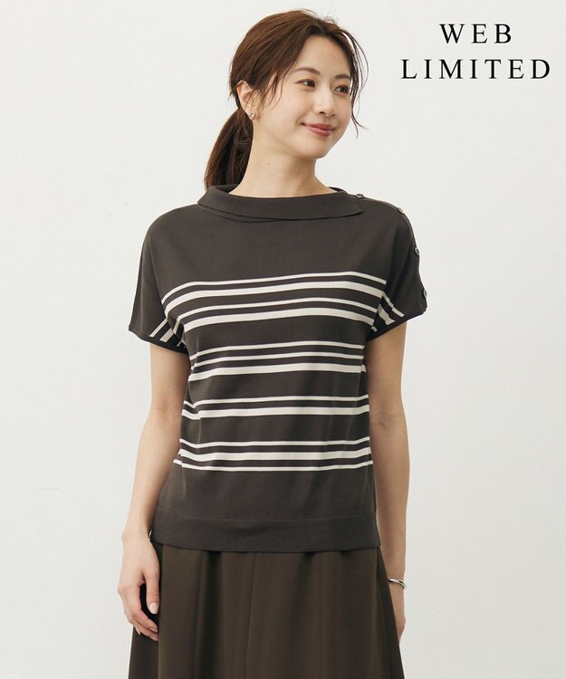 J.PRESS LADIES 【WEB限定カラーあり・洗える・抗菌防臭】COTTON POLYESTER ボーダー 襟付き ニット 【WEB限定カラー】ブラウン×グレージュ系
