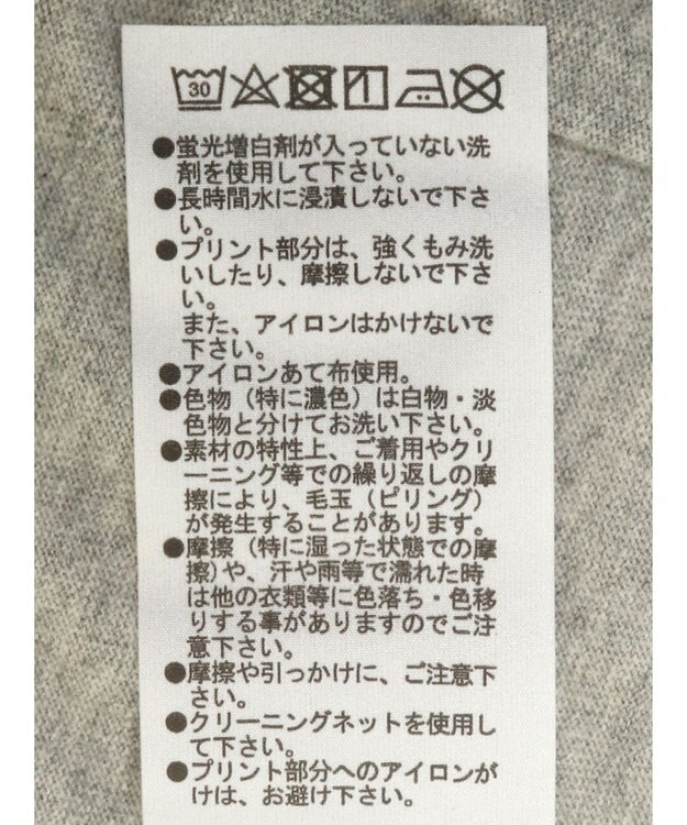 Green Parks ＥＧＯＩＳＴ　肩開きロゴ長袖プルオーバー Gray