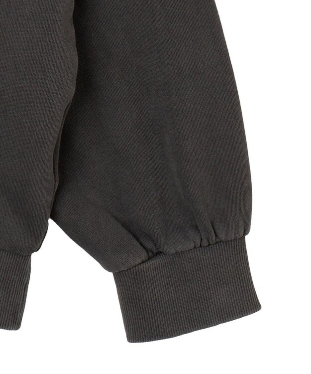 WEGO 【ユニセックス着用ITEM】ピグメントグラフィックプルパーカー 柄3