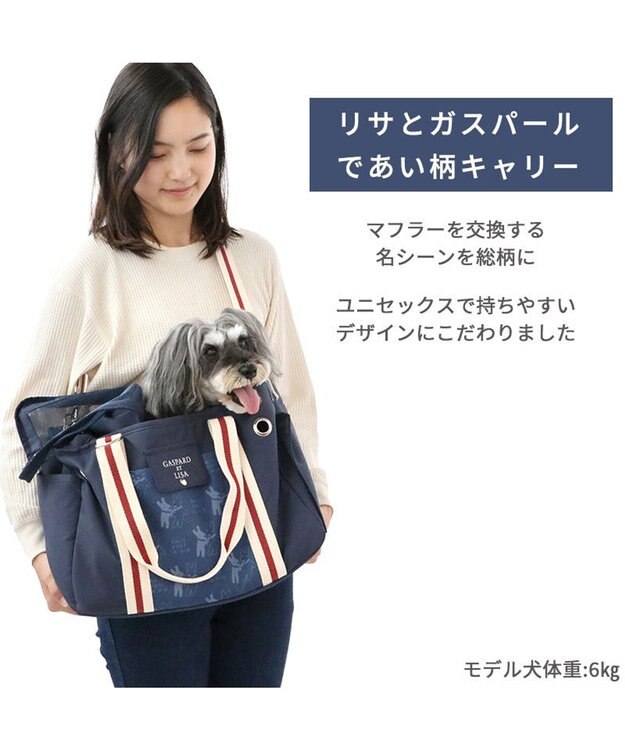 PET PARADISE リサとガスパール キャリーバッグ  であい柄 小型犬 紺（ネイビー・インディゴ）