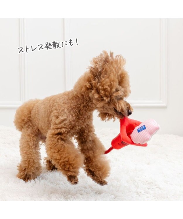 PET PARADISE ディズニー トイ・ストーリー ハム コーントイ レッド