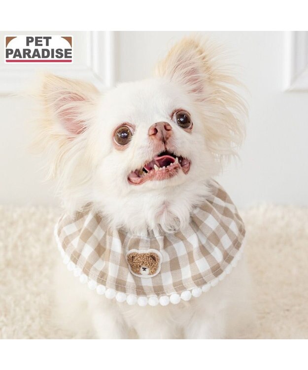 PET PARADISE ペットパラダイス くまちゃん シュシュ スタイ 小型犬 モカ×ホワイト