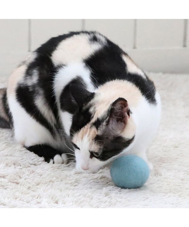 PET PARADISE ペットパラダイス 猫 羊毛 ボール 【単品】 ミント