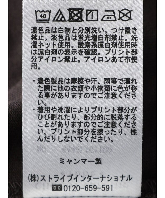 Green Parks フォトボックスＴシャツ Gray