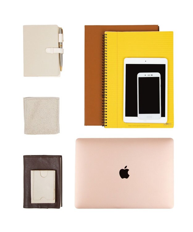 ACE BAGS & LUGGAGE HAyU×ace. セダム スーツケース 40L 機内持込 09081 ハユ エース アイボリー