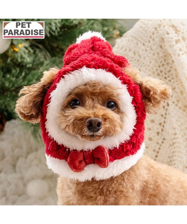 PET PARADISE ペットパラダイス サンタ 帽子 ４Ｓ～３Ｓ/ＳＳ～Ｓ  2025 小型犬 レッド