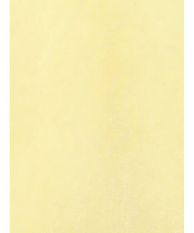 Te chichi 【Atelier Bonheur】キャットヤーンVネックカーディガン《2025winter catalog item》 イエロー