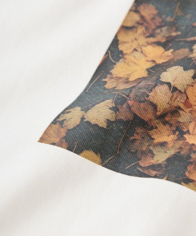 earth music&ecology アソートプリントワイドTee Ivory