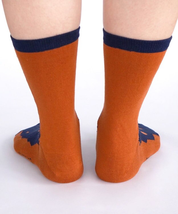 nitorito 【UNISEX】米沢オリジナル柄 mountain&moon 靴下 camel