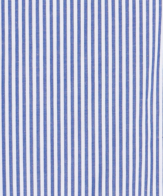 ANY 【POLO BCS別注】プレッピークロップドシャツ ブルーストライプ