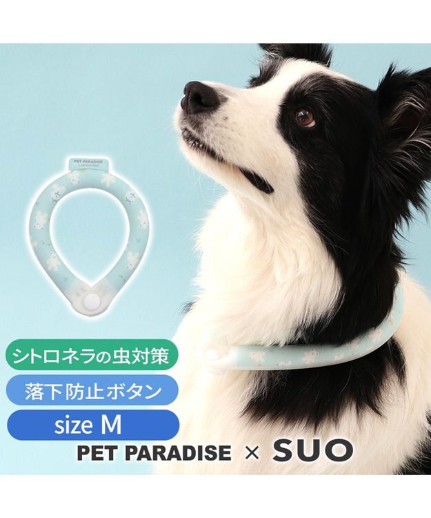 PET PARADISE ペットパラダイス 28℃クールリング SUO 《くま柄》 〔Ｍ〕 中型犬 くま