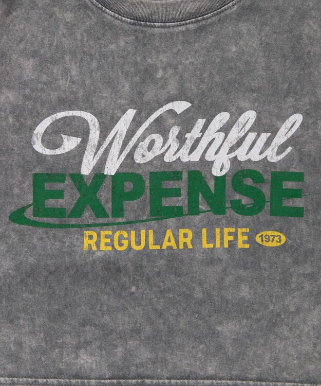 WEGO ヴィンテージウォッシュショートT 柄6