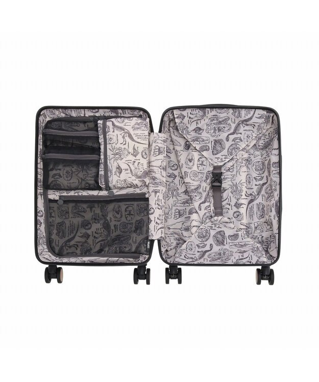 ACE BAGS & LUGGAGE HaNT ヘイヘイTR スーツケース 40L 機内持込  05180 ハント ブラック