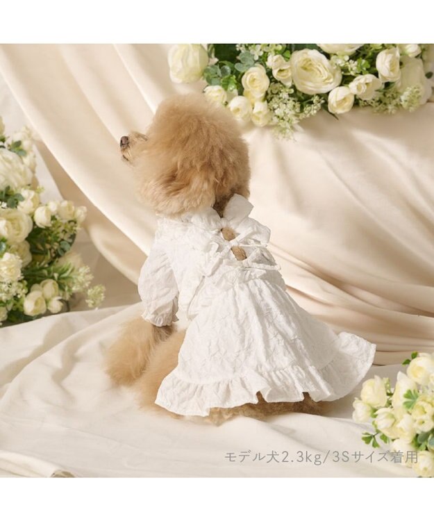 PET PARADISE cherircouture フリルリボン ワンピース 《ホワイト》 小型犬 ホワイト