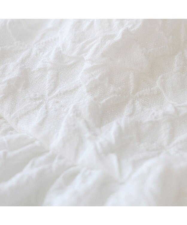 PET PARADISE cherircouture フリルリボン ワンピース 《ホワイト》 小型犬 ホワイト