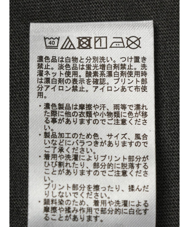 AMERICAN HOLIC フロッキーＰｔフェード加工Ｔ／Ｍｉｃｋｅｙ Charcoal Gray