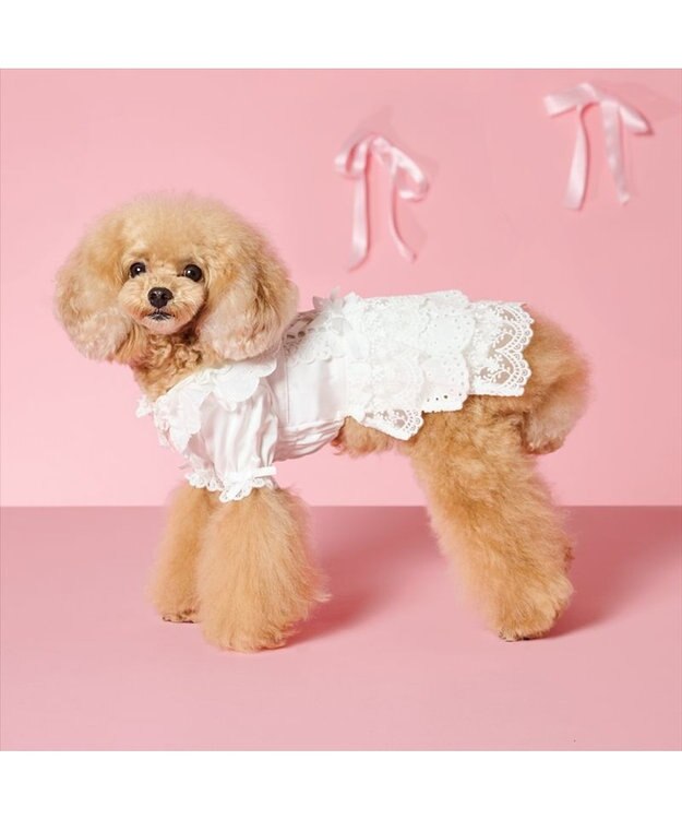 PET PARADISE cherircouture レースフリル ワンピース 小型犬 ホワイト