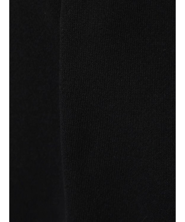 Green Parks ＥＧＯＩＳＴ　裏毛タイトスカートII Black