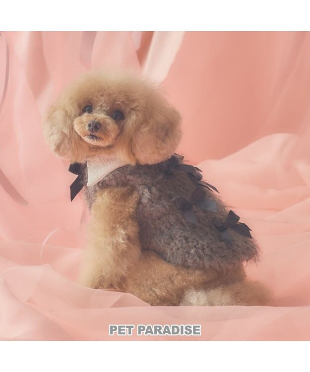 PET PARADISE cherircouture メニーリボンファーベスト 《グレー》 小型犬 グレー