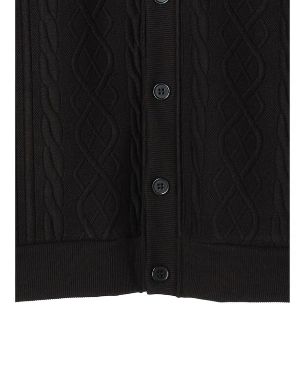 CRAFT STANDARD BOUTIQUE ケーブル柄カットカーディガン1 Black