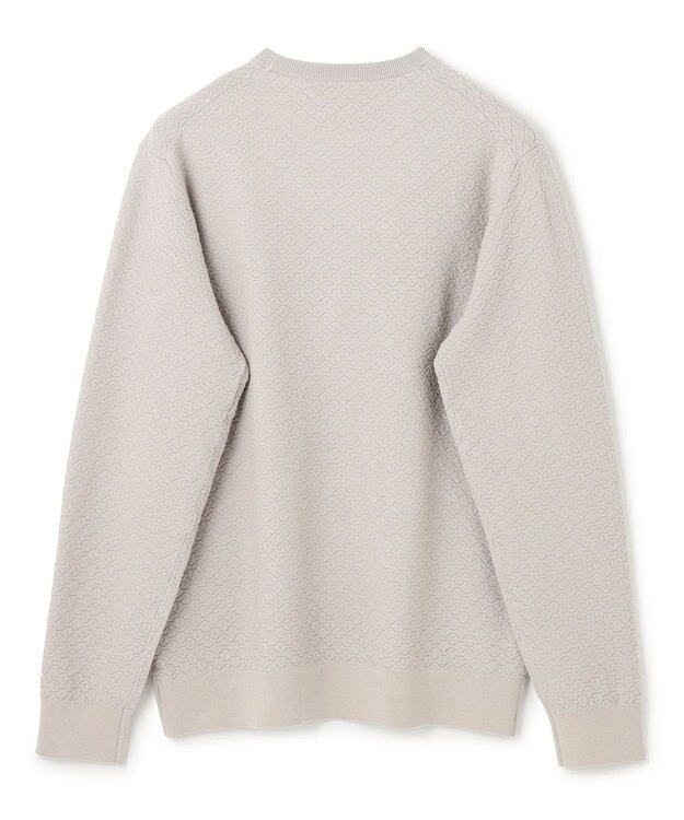 JOSEPH HOMME 新色追加【洗える】ヴィスコースリンクス　クルーネックニット アイボリー系