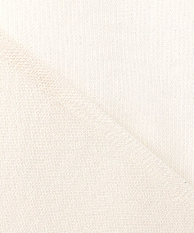 ANY SIS L 【貴島明日香さんコラボ】チュールレイニャード猫 Tシャツ アイボリー×フォト