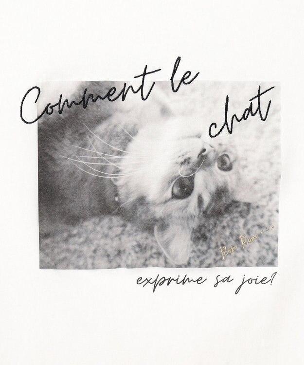 ANY SIS L 【貴島明日香さんコラボ】チュールレイニャード猫 Tシャツ アイボリー×フォト