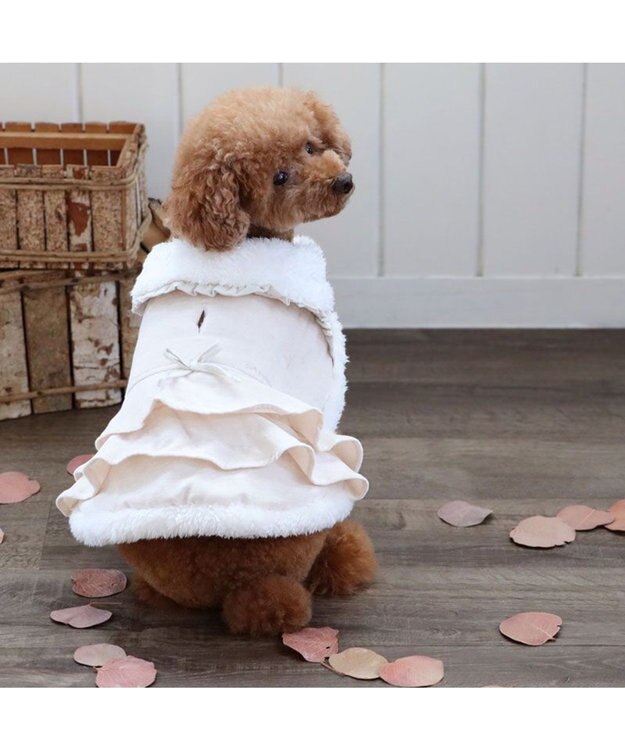 PET PARADISE ペットパラダイス フリルポンチョ 《ホワイト》  超小型犬 小型犬 ホワイト
