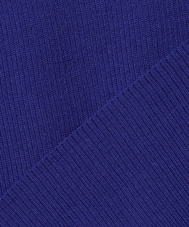 ICB L 【新色追加】エクストラファインメリノリブ タートルネックプルオーバー ロイヤルブルー系