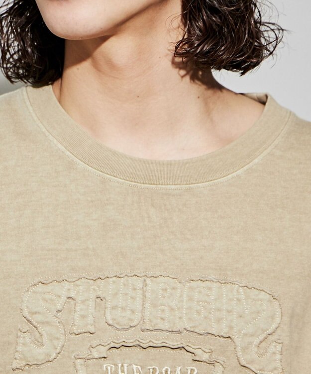 WEGO ピグメントダメージアップリケT（S） ベージュ