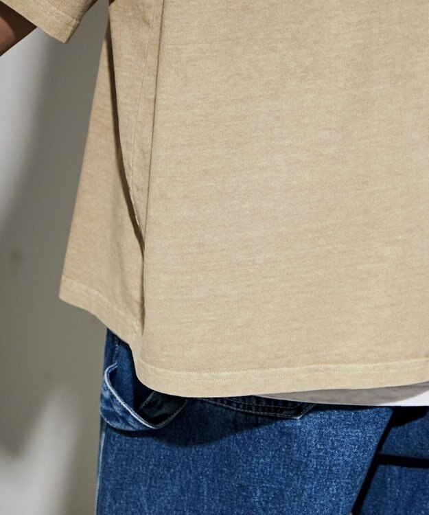 WEGO ピグメントダメージアップリケT（S） ベージュ