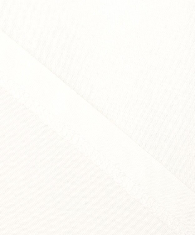 ANY SIS L 【貴島明日香さんコラボ】チュールレイニャード猫 Tシャツ アイボリー×フォト