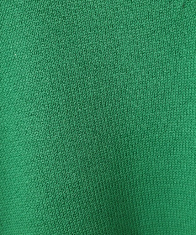 AMERICAN HOLIC Ｖネックニットプルオーバー Green