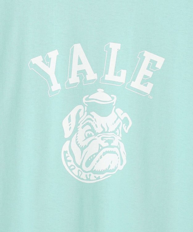 J.PRESS YORK STREET 【UNISEX】YALE ブルフェイス Tシャツ ピーコックグリーン系