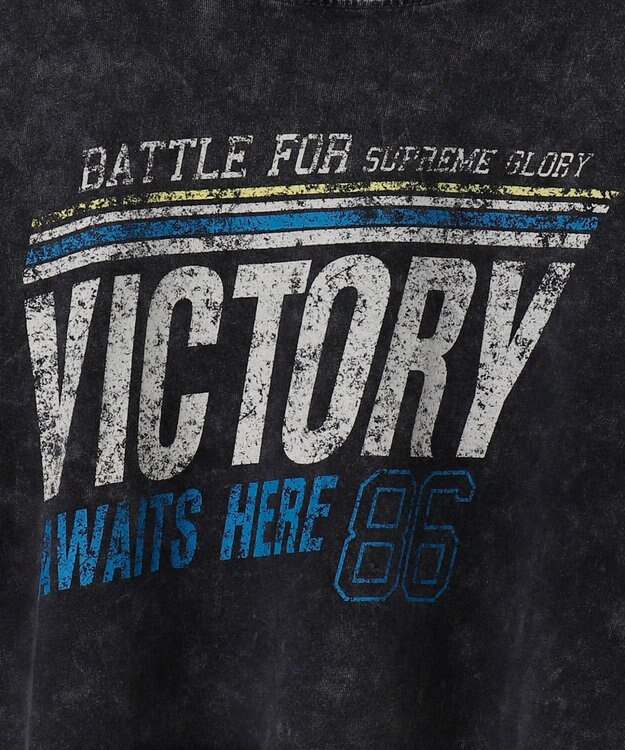 WEGO ヴィンテージウォッシュショートT 柄7