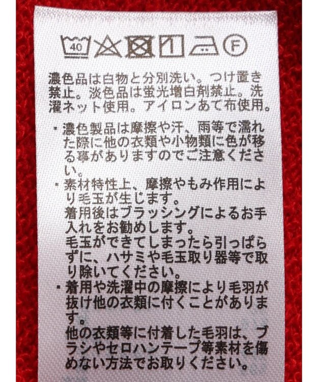 CRAFT STANDARD BOUTIQUE 裏毛リングドットプルオーバー Red