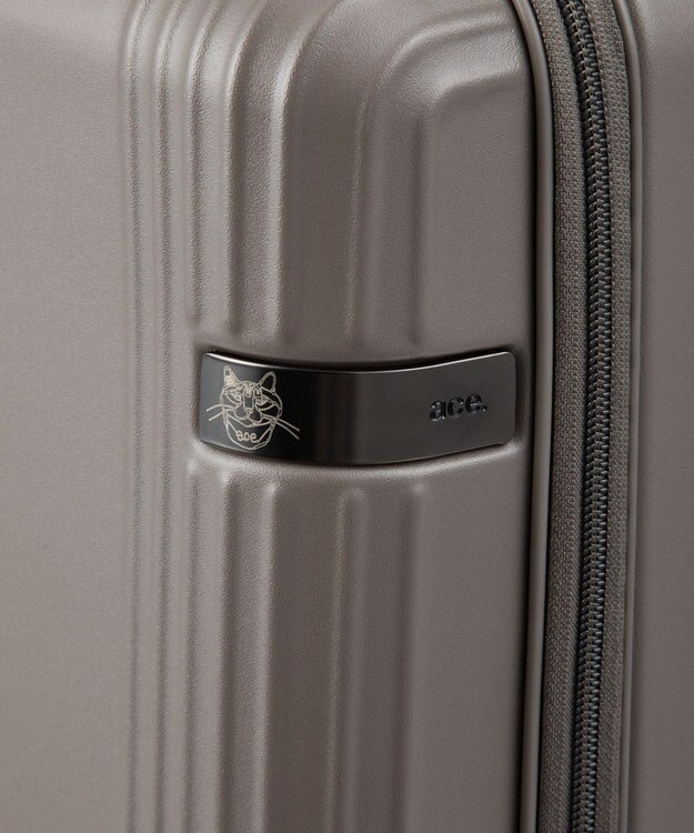 ACE BAGS & LUGGAGE HAyU×ace. セダム スーツケース 40L 機内持込 09081 ハユ エース ブラウン