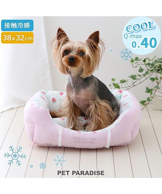 PET PARADISE ペットパラダイス クールカドラー 角型《いちご＆お花柄》 超小型犬 38×32cm S いちご＆お花柄