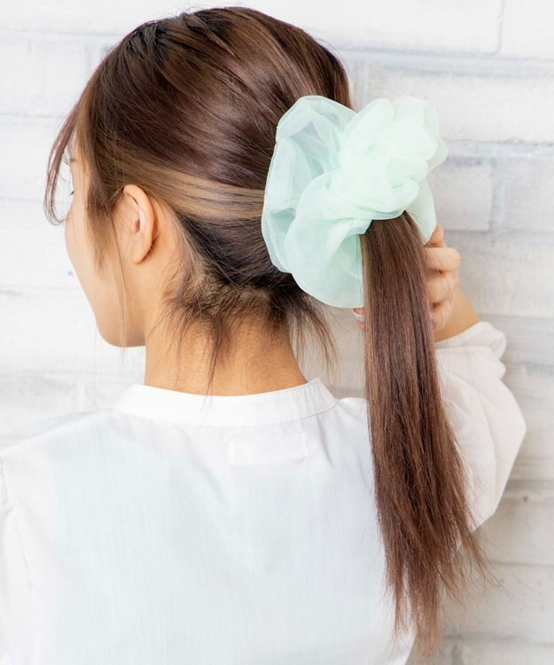 WEGO スケBIGシュシュ グリーン