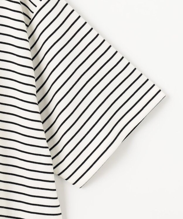 ANY L フライスワイドTシャツ ボーダー