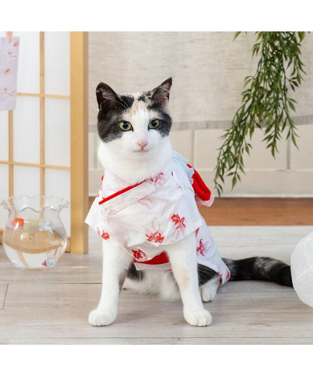 PET PARADISE ペットパラダイス 浴衣 《遊泳金魚》 小型犬 ホワイト×レッド