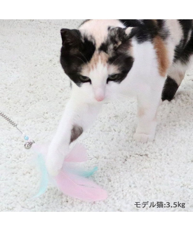 PET PARADISE ペットパラダイス 猫じゃらし 《羽根》 羽根