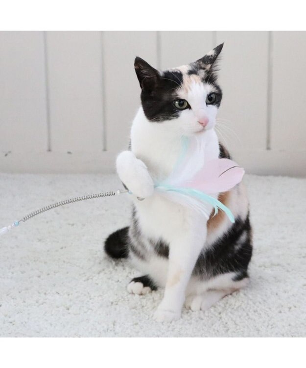 PET PARADISE ペットパラダイス 猫じゃらし 《羽根》 羽根