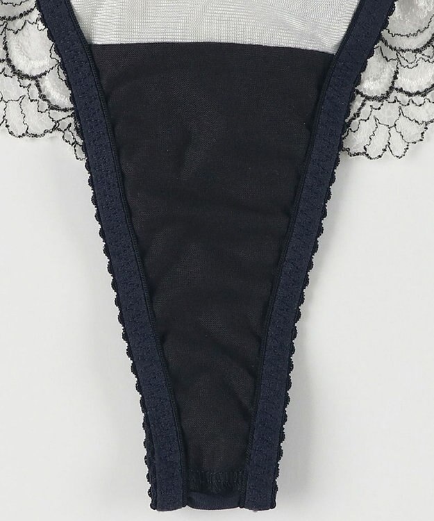 Wing Ｔバックショーツ Wing Lesiage 【2910シリーズ】 PB2910とペア はきこみ丈あさめ PF2912 ウイング／ワコール コン