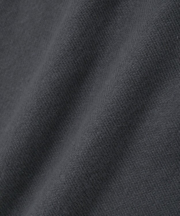 Green Parks １０１匹わんちゃん／ポロ衿裏毛スウェット Charcoal Gray