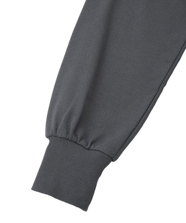 Green Parks １０１匹わんちゃん／ポロ衿裏毛スウェット Charcoal Gray